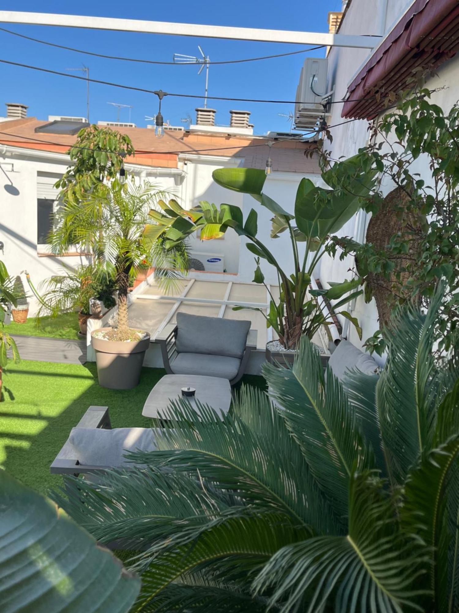 Atico Suite Con Terraza Totalmente Privada En Pleno Centro Historico De Sevilla エクステリア 写真